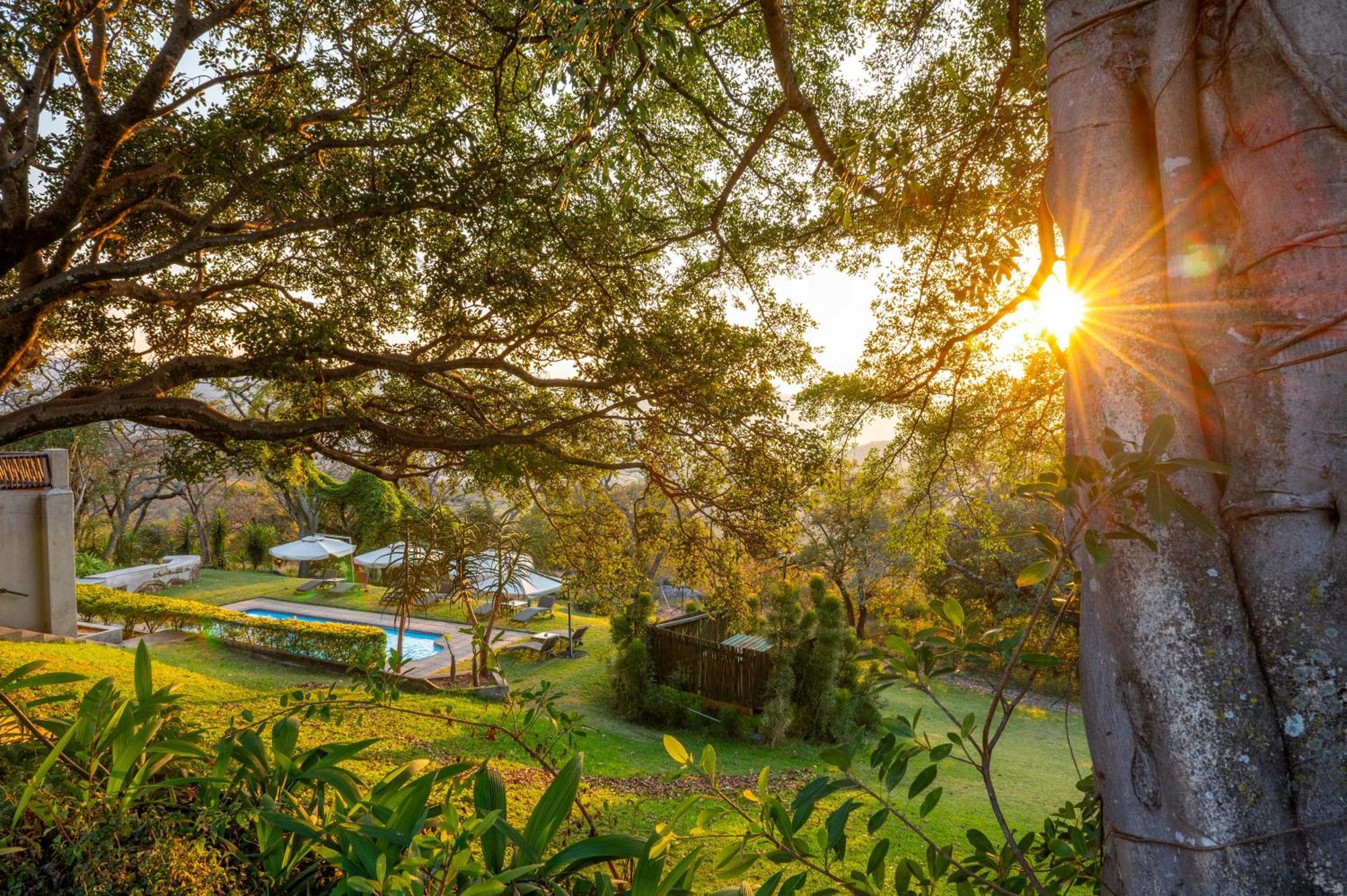 هازيفيو Chestnut Country Lodge المظهر الخارجي الصورة