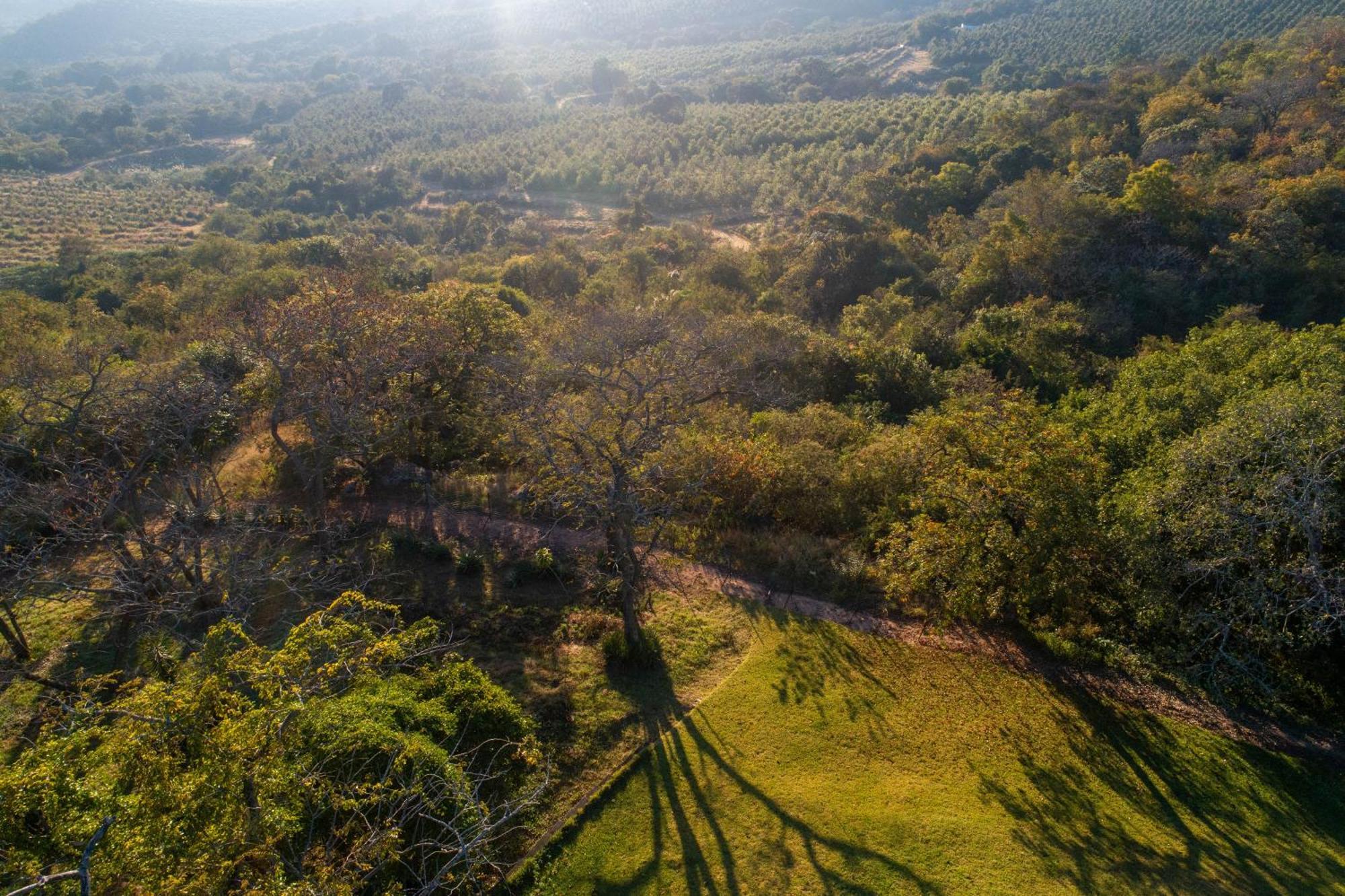 هازيفيو Chestnut Country Lodge المظهر الخارجي الصورة