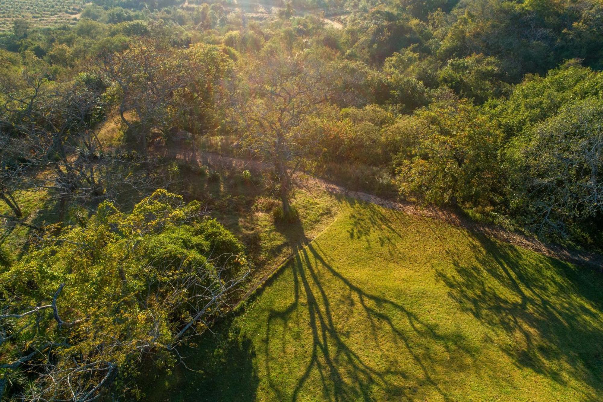 هازيفيو Chestnut Country Lodge المظهر الخارجي الصورة
